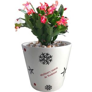 Decorative Plant Pot White with Snowflakes NEW IN BOX